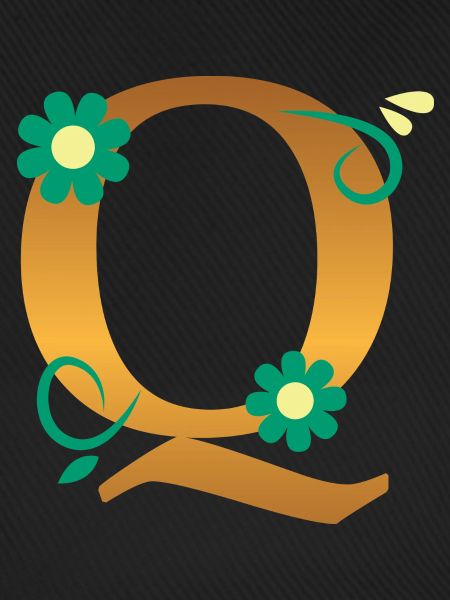 Q