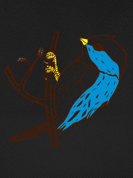 Vogel Illustration Niedlich