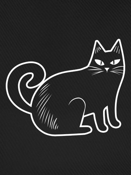 Katzen Katzendame Katzenfreund