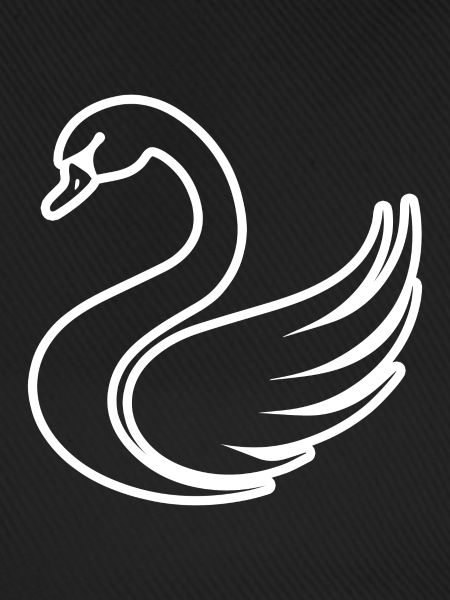 Schwan Schwäne