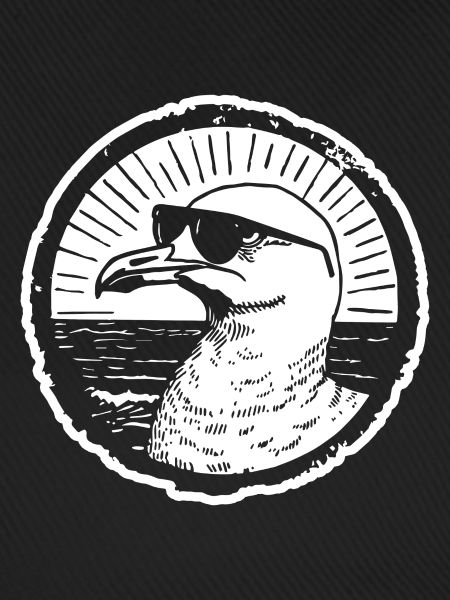 Möwe