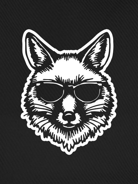 Fuchs Füchse