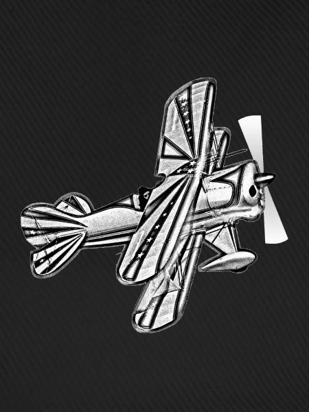 Flugzeug