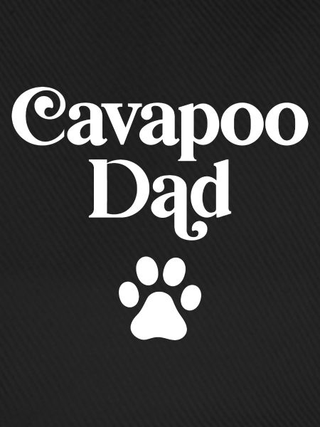 Cavapoo Vater