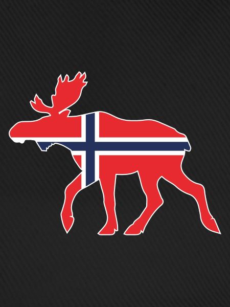 Norwegen Elch