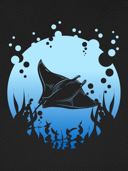 Manta Rochen