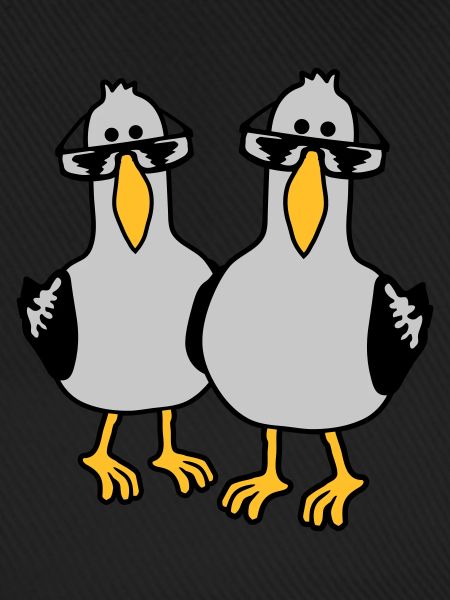 2 Möwen Freunde Team