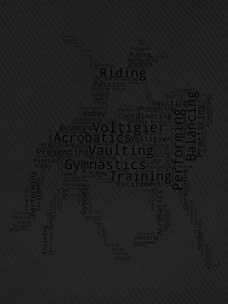 Teamvoltigieren Balanceübungen Reitkunst