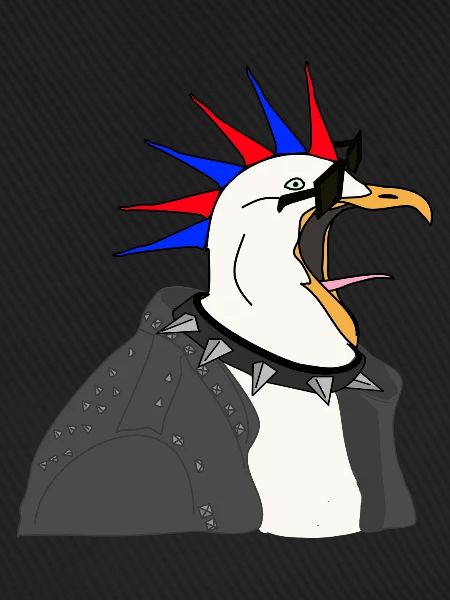 punker möwe lederjacke sonnenbrille