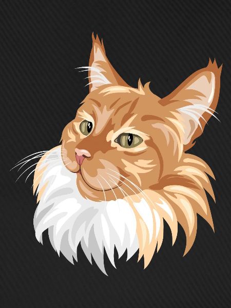 Ingwer Katze Porträt