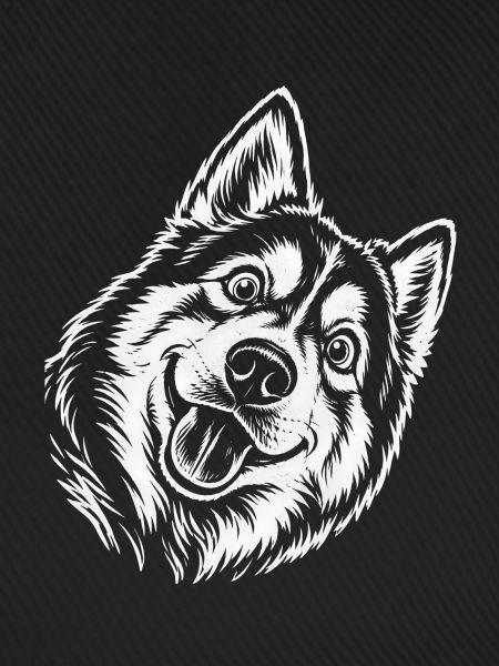 Husky Kopfzeichnung