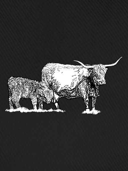 Hochlandrind mit Kalb
