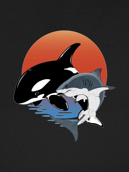 Orca