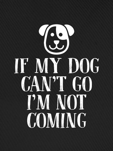 Hund Hunde