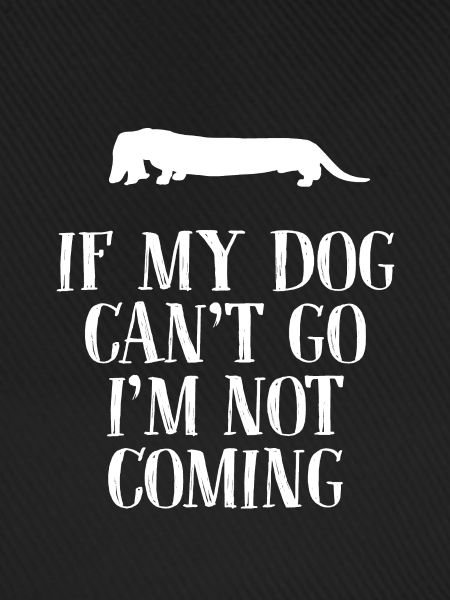 Hunde Hund