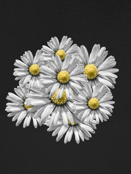 Blumenstrauß