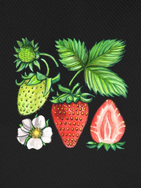 Erdbeeren