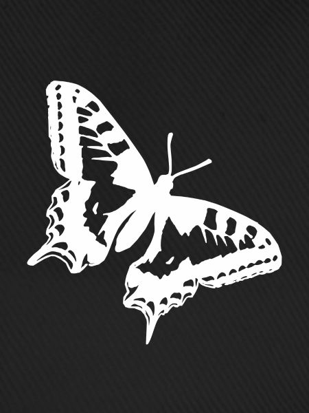White Butterfly