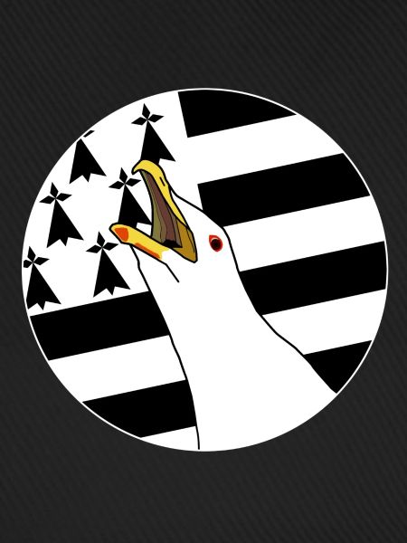 Armorican seagull
