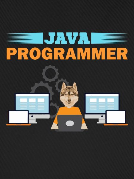Java Programmer