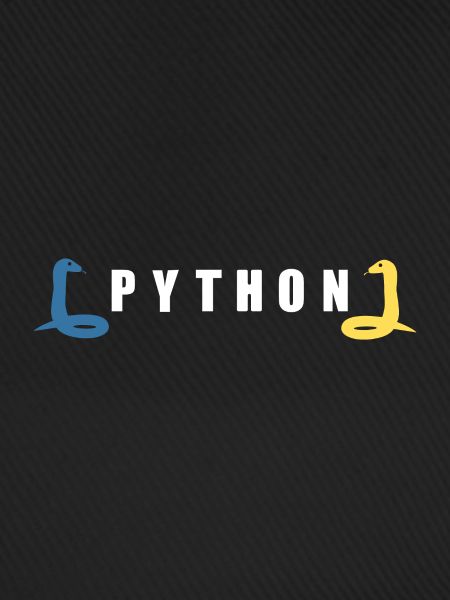 Python Entwickler Programmierer Coder Geschenkidee