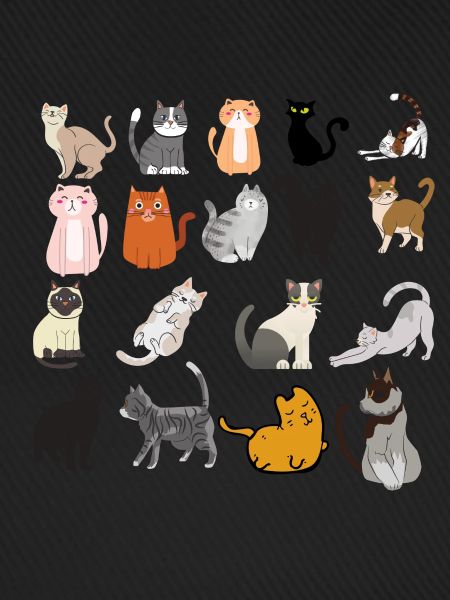 CATS