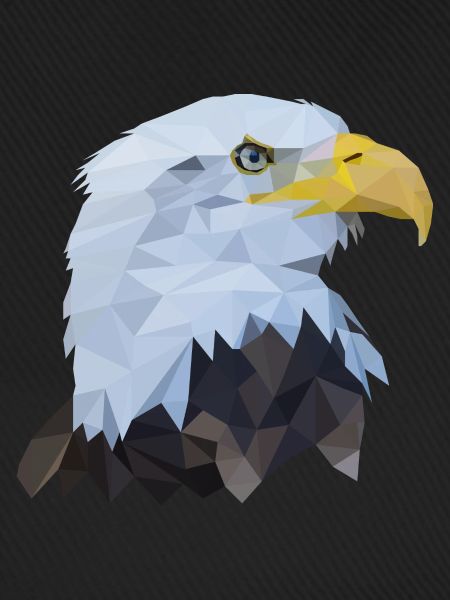 Adlerkopf Polygon Vogel