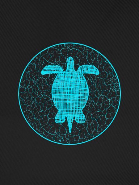 Turtle Schildkröteim