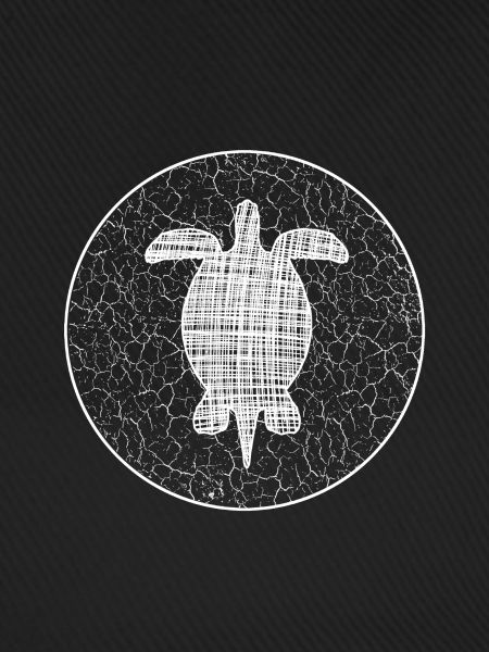 Turtle Schildkröte