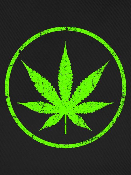 Cannabis