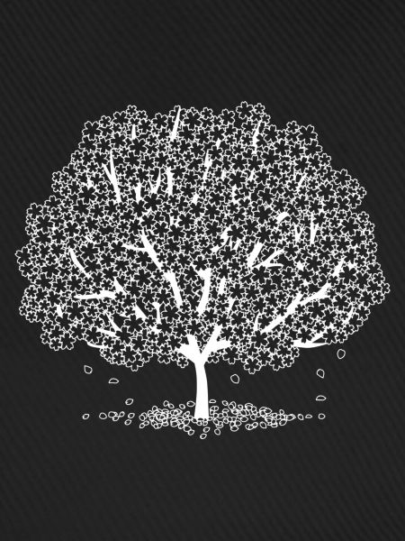 Baum