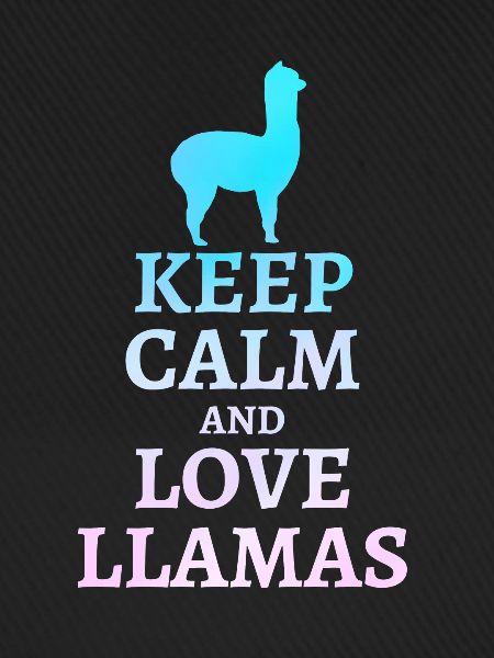 llama
