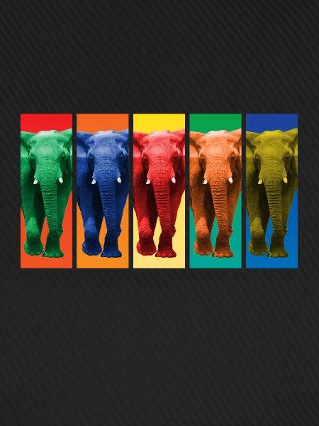 Elefanten - Pop Art