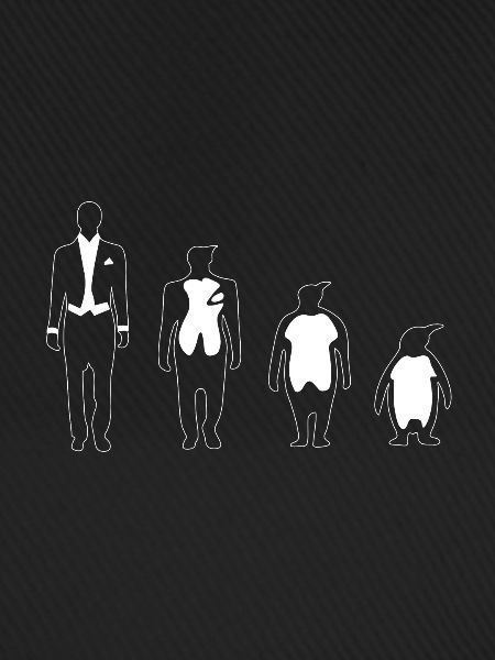 Evolution Mensch Pinguin