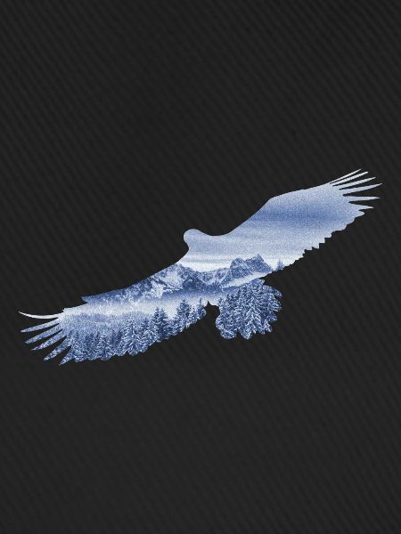 Soar like an Eagle