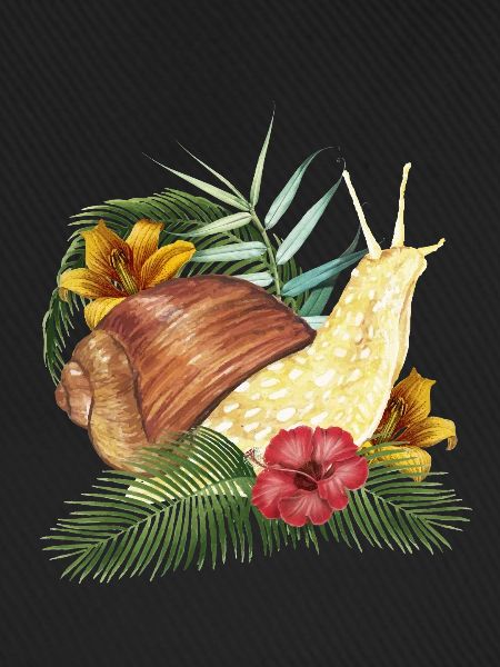 Schnecke Tier