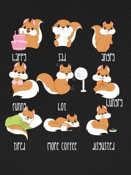 Eichhörnchen - Emotionen - Eichkätzchen - Geschenk