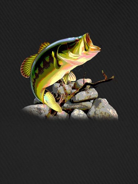 Angler Fischen Angeln Fisch