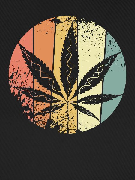 Hanf Cannabis