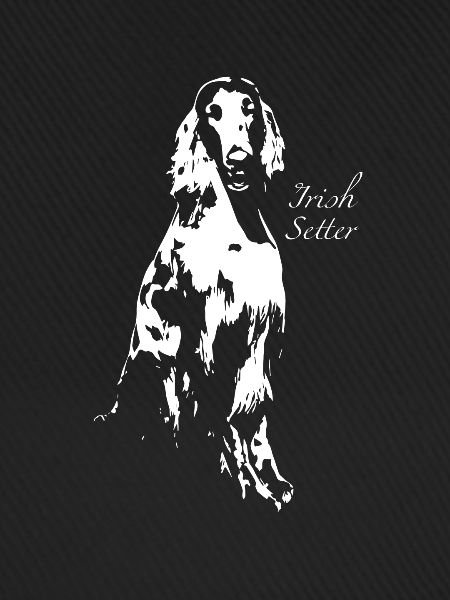 Irish Setter