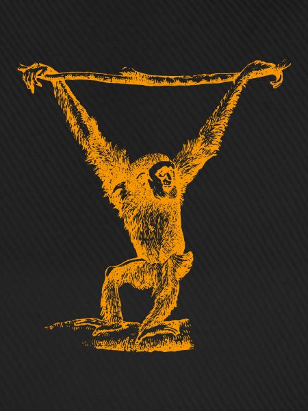 Gibbon