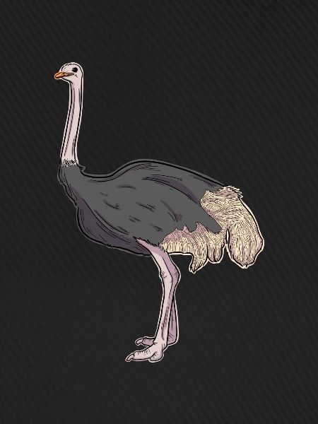 Strauß-Illustration