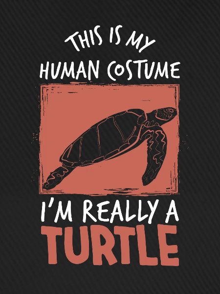 Schildkröte