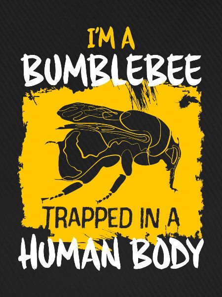 Hummel