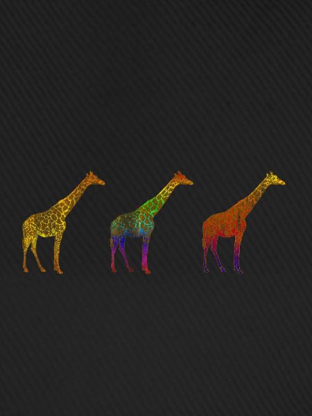 Giraffe Savanne