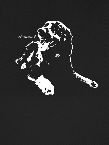 Hovawart