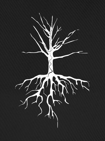 Baum