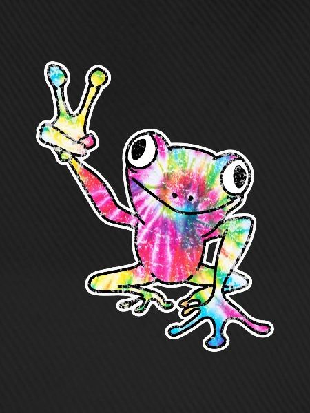 Frosch Laubfrosch
