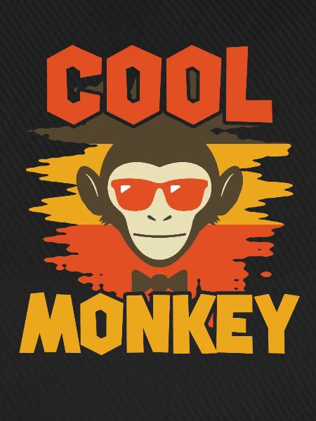 COOL MONKEY