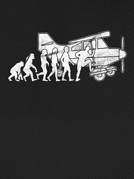Pilot Flugzeug